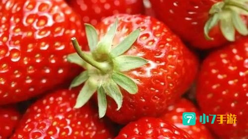 国产情侣草莓视频在线